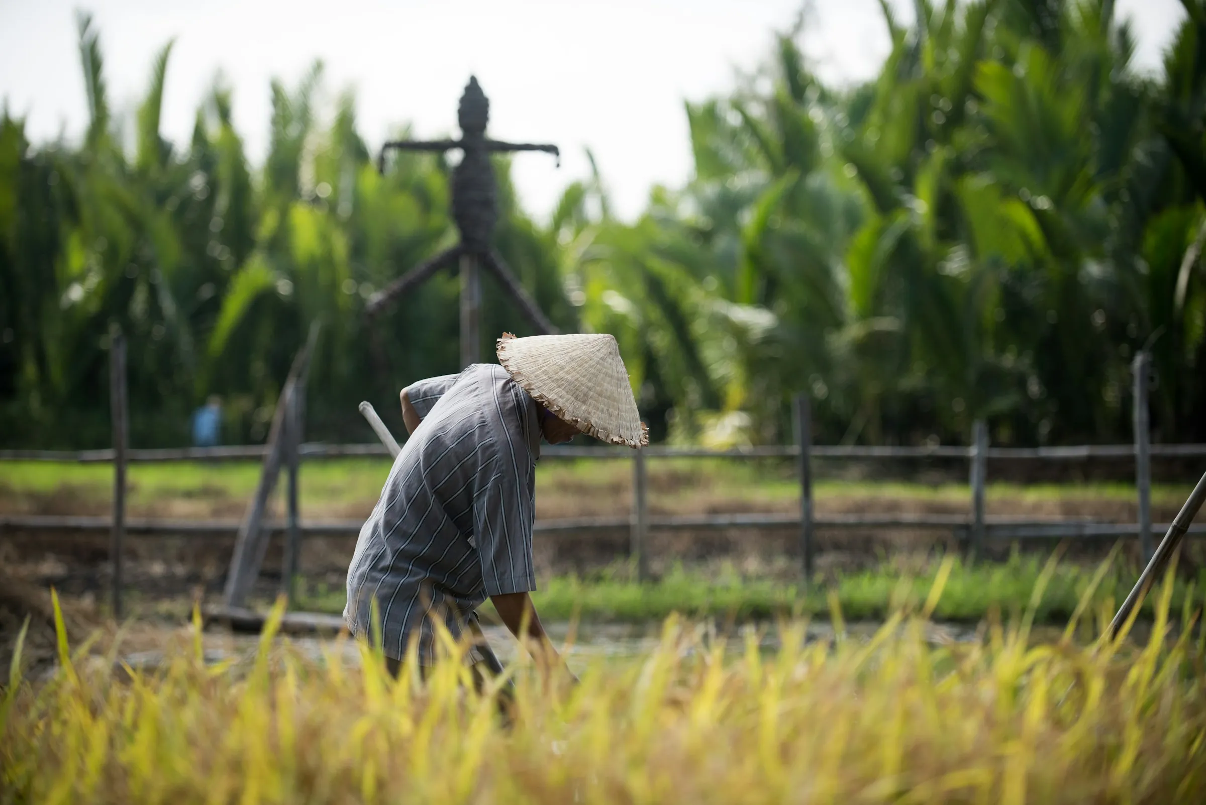 A farmer in a conical hat raking a field